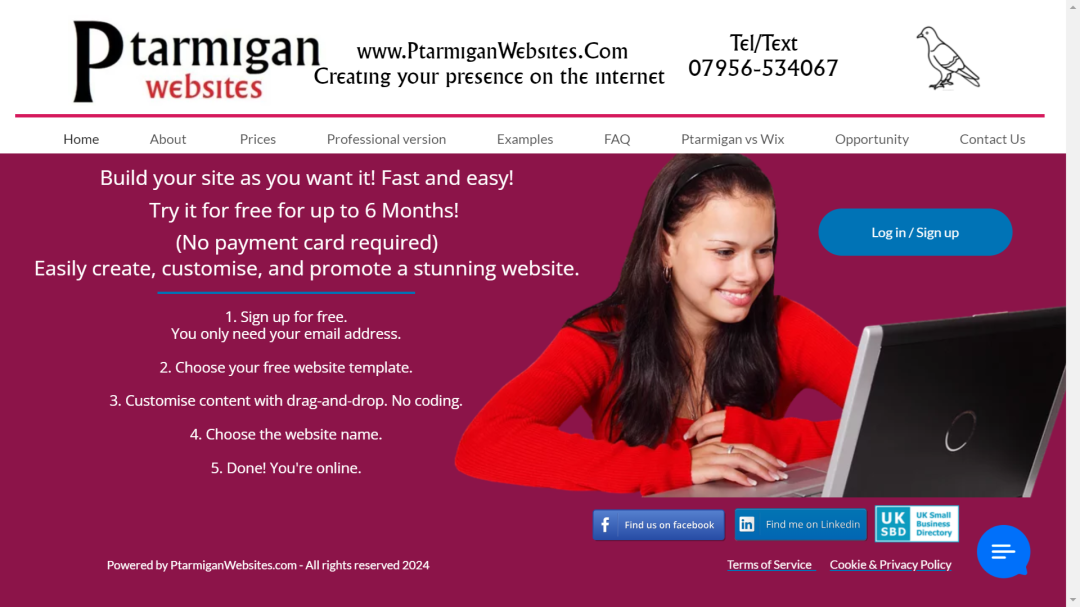 Ptarmigan Websites Website Page